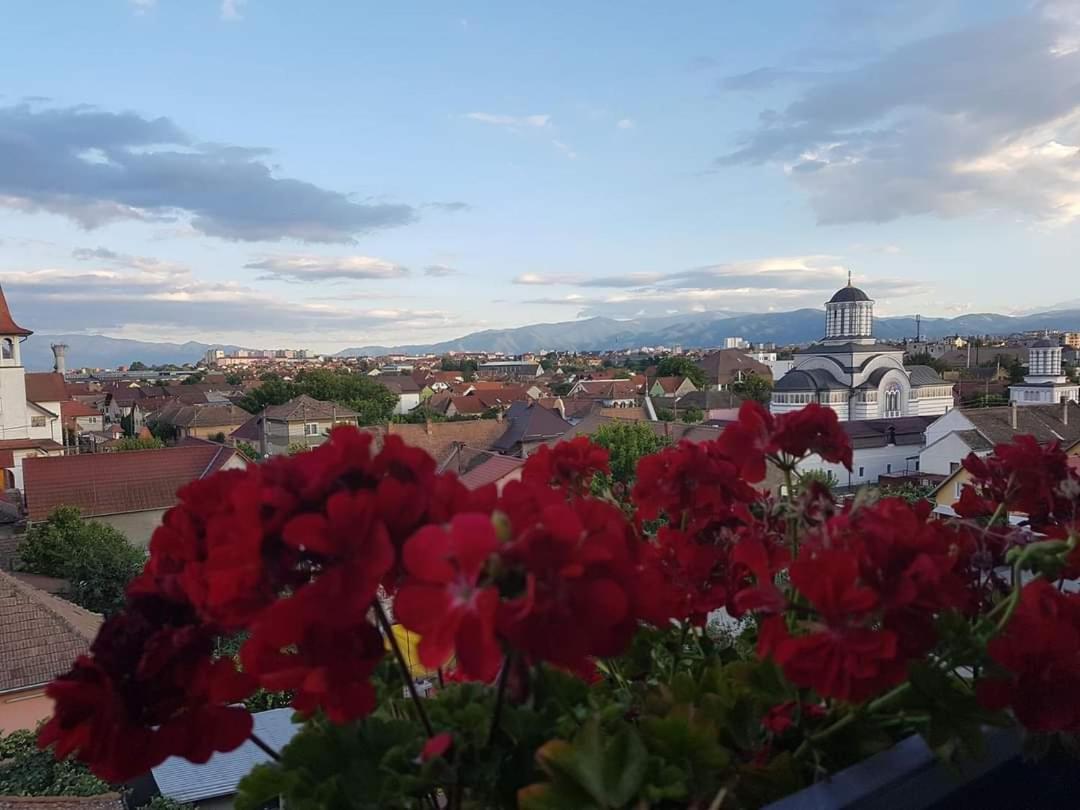 Sibiu Bach Penthouse Appartement Buitenkant foto